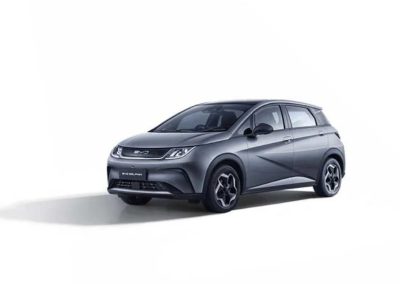 BYD Dolphin pilihan warna foto (4)